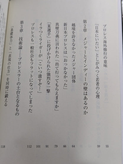 真・プロレスラーは観客に何を見せているのか 30年やってわかったこと