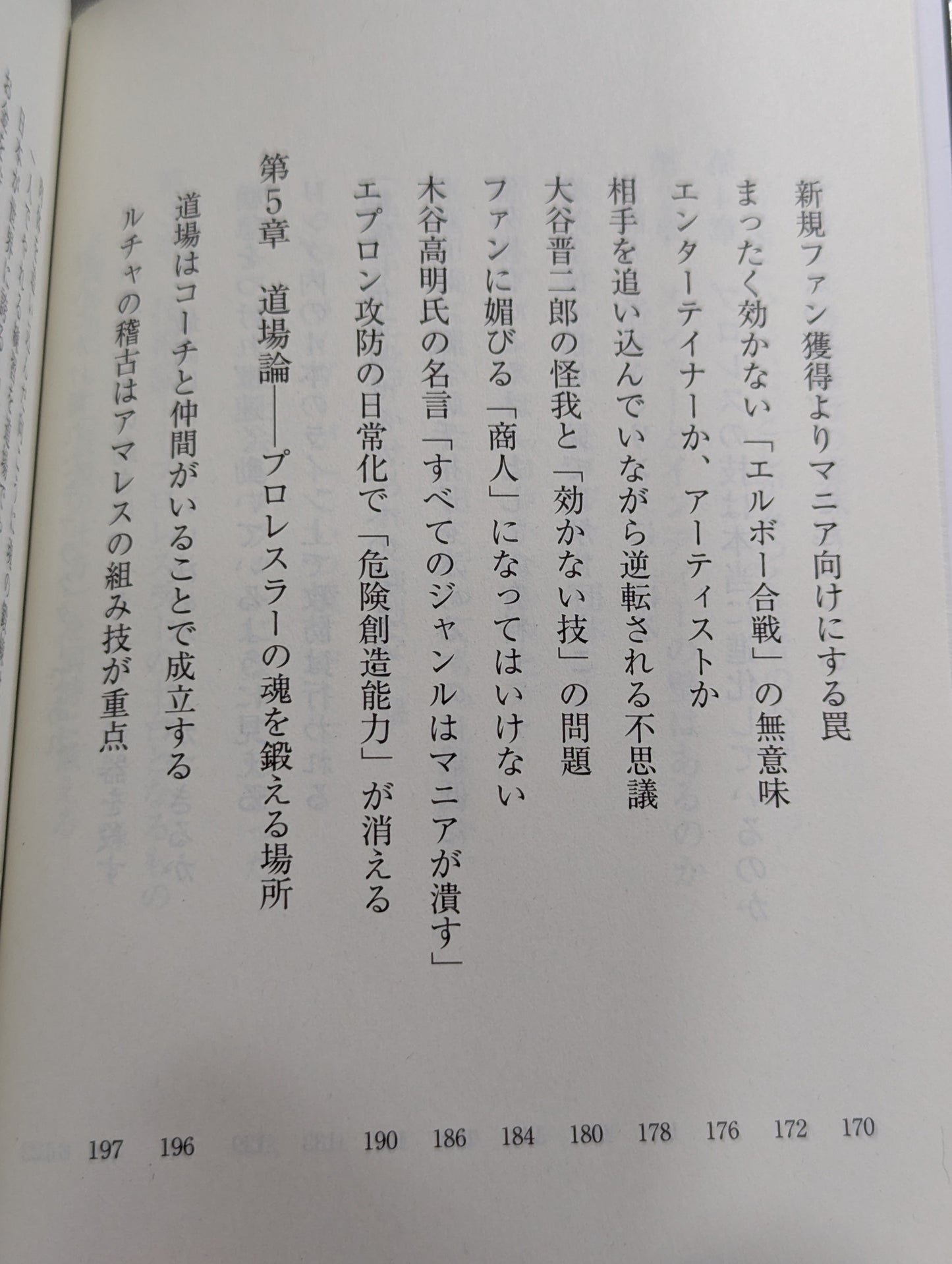 真・プロレスラーは観客に何を見せているのか 30年やってわかったこと