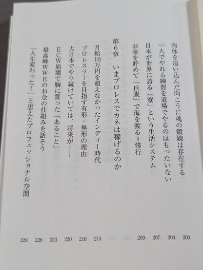 真・プロレスラーは観客に何を見せているのか 30年やってわかったこと