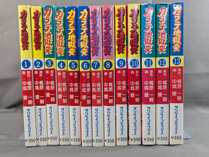[Sankei Comics Shinsho Edition, Complete 13 Volumes] KARATE Hell Transformation