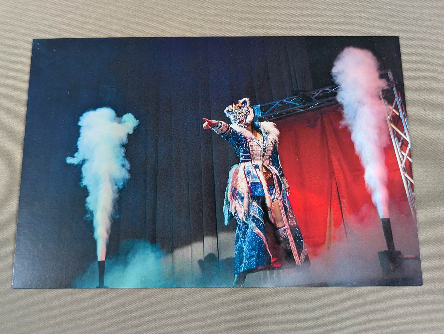 [Hand signed autograph  & bonus postcard included] I was a girl who was withdrawn and stupid Until it became an icon of Pro Wrestling