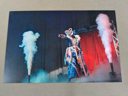 [Hand signed autograph  & bonus postcard included] I was a girl who was withdrawn and stupid Until it became an icon of Pro Wrestling