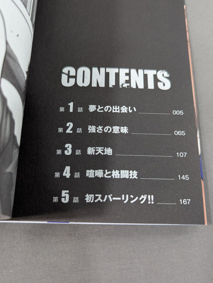[4-volume set] BLUE FIGHT ~Breaking Down of the Blue Youth~