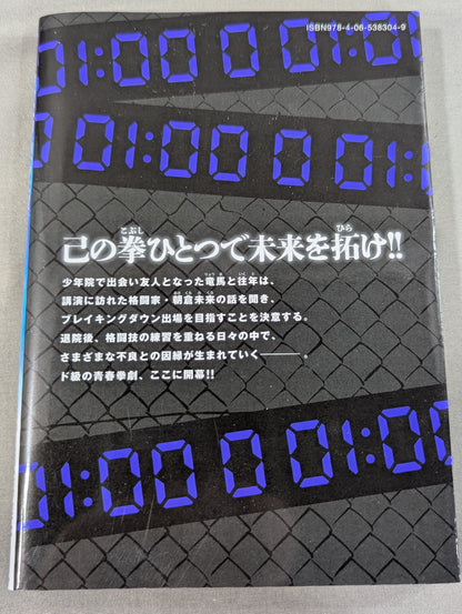 [4-volume set] BLUE FIGHT ~Breaking Down of the Blue Youth~