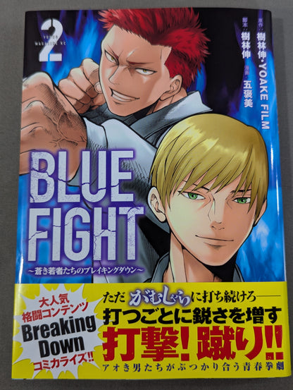 [4-volume set] BLUE FIGHT ~Breaking Down of the Blue Youth~