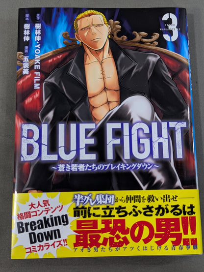 [4-volume set] BLUE FIGHT ~Breaking Down of the Blue Youth~