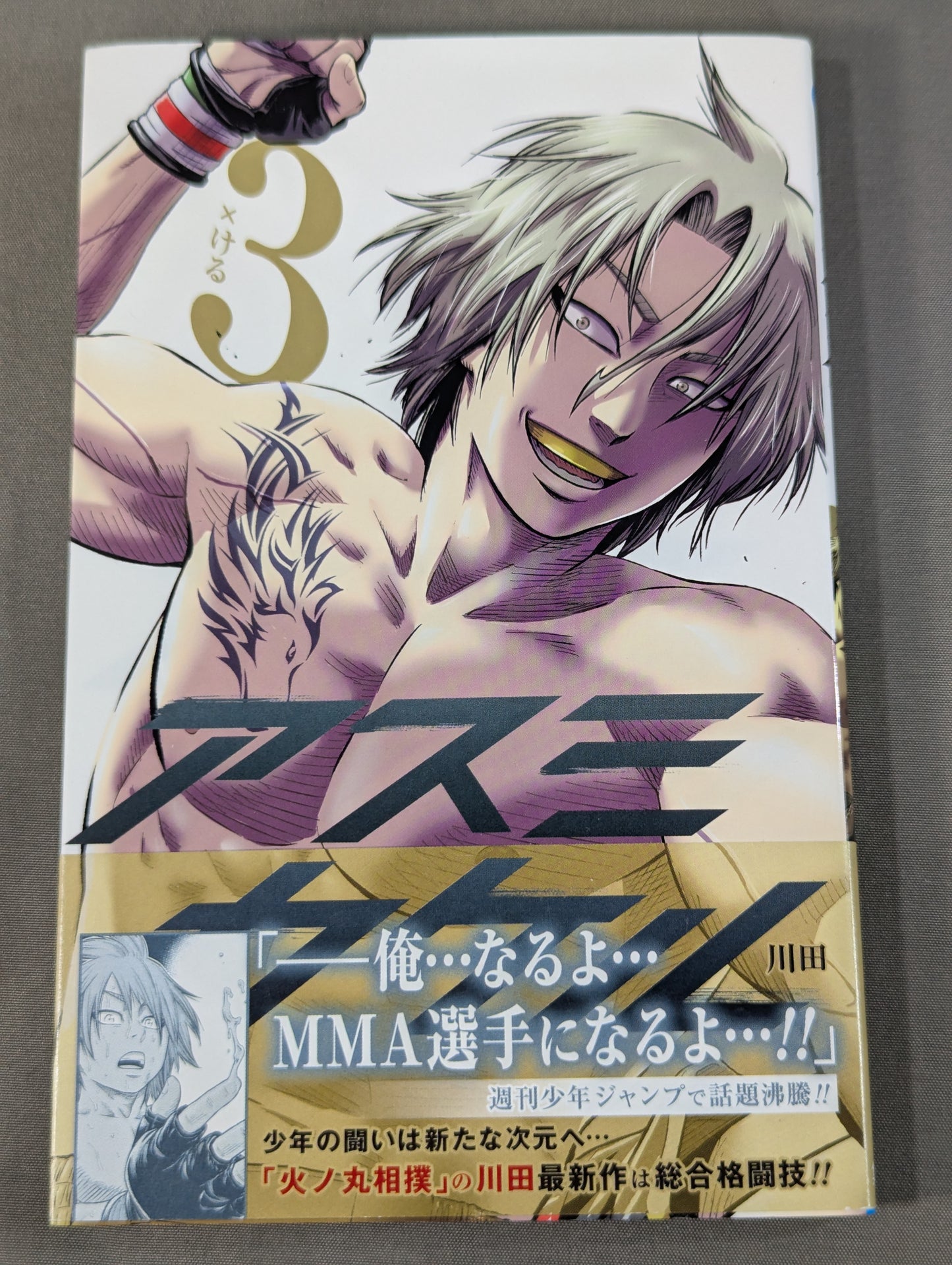[Complete 4-Volume Set] Kakeru Asmi
