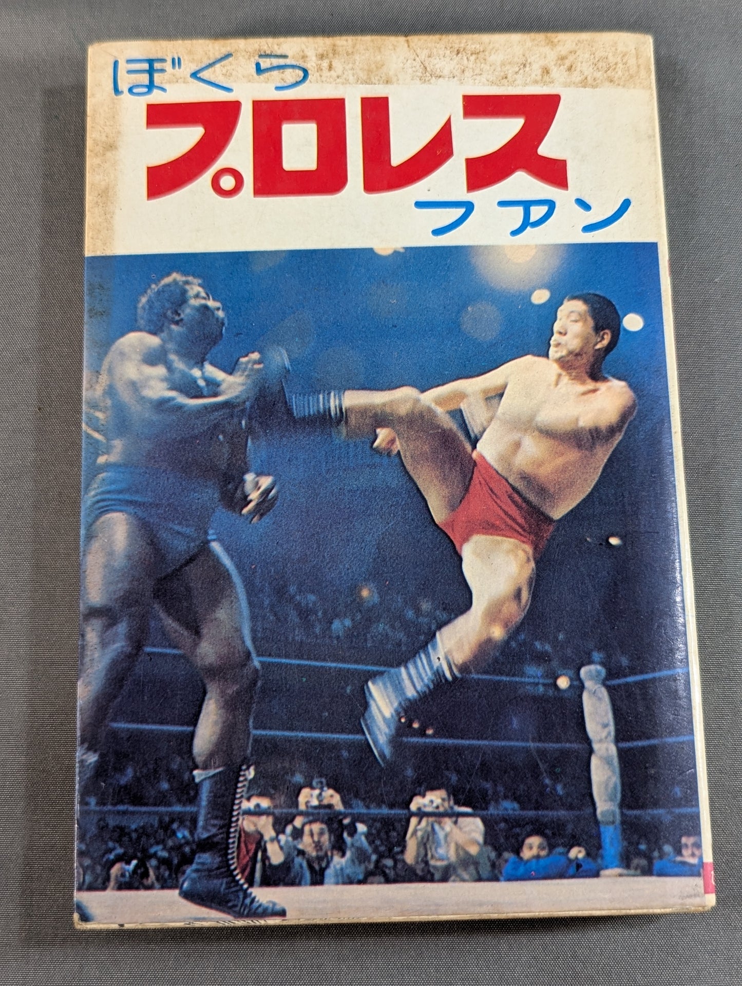 Our Pro Wrestling Fan Junior Introductory Encyclopedia (13)