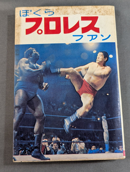 Our Pro Wrestling Fan Junior Introductory Encyclopedia (13)