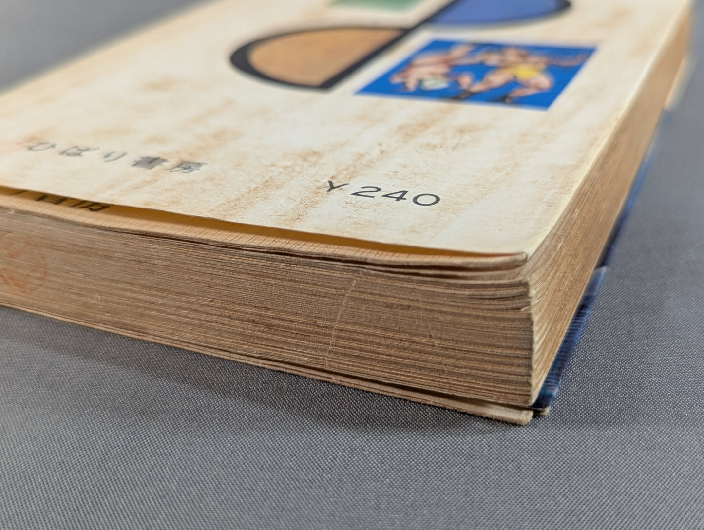 Our Pro Wrestling Fan Junior Introductory Encyclopedia (13)