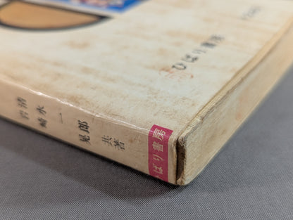 Our Pro Wrestling Fan Junior Introductory Encyclopedia (13)