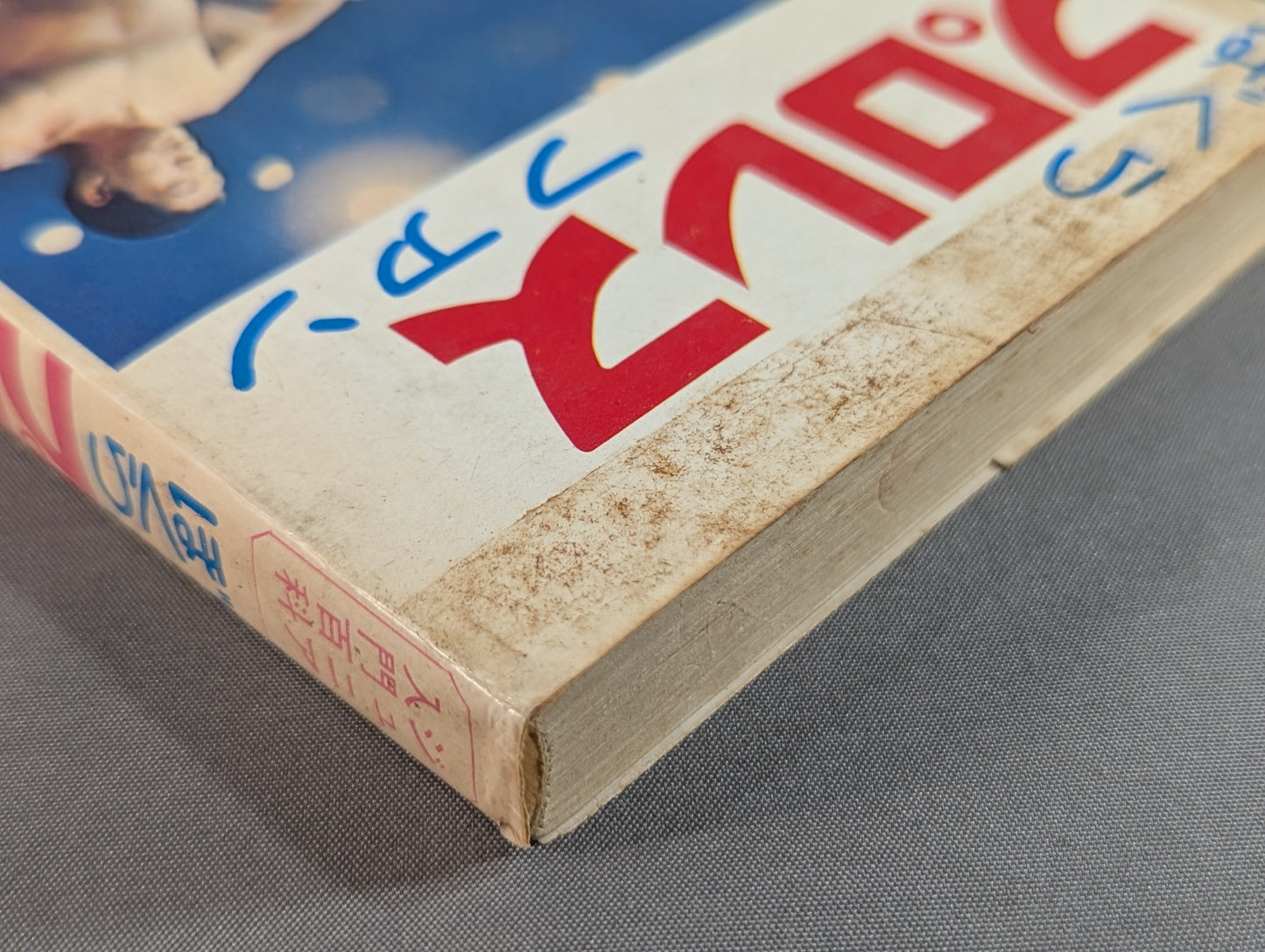 Our Pro Wrestling Fan Junior Introductory Encyclopedia (13)