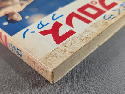 Our Pro Wrestling Fan Junior Introductory Encyclopedia (13)