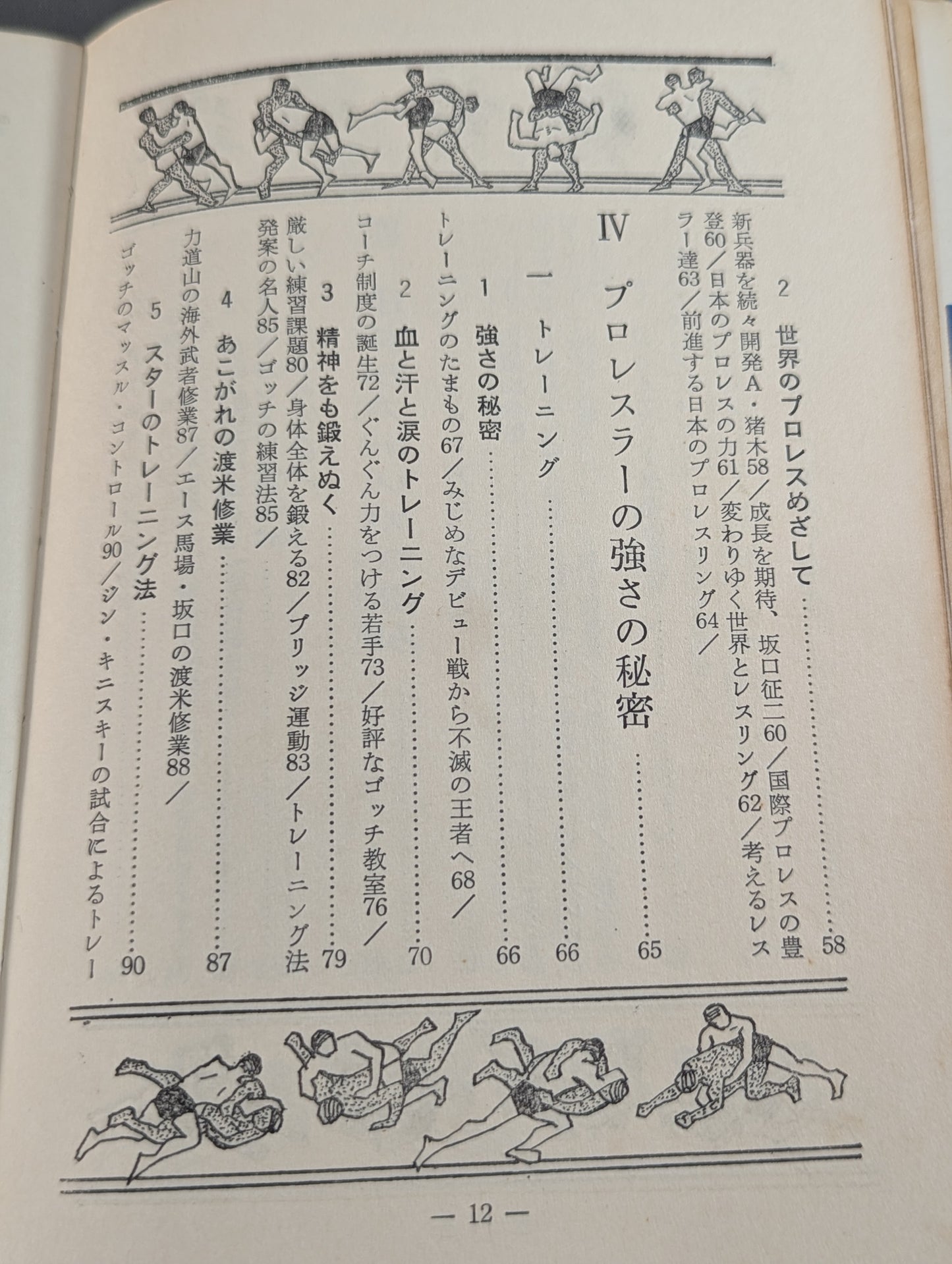 Our Pro Wrestling Fan Junior Introductory Encyclopedia (13)