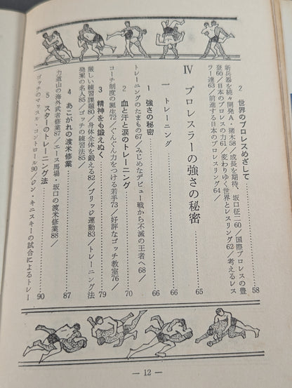 Our Pro Wrestling Fan Junior Introductory Encyclopedia (13)