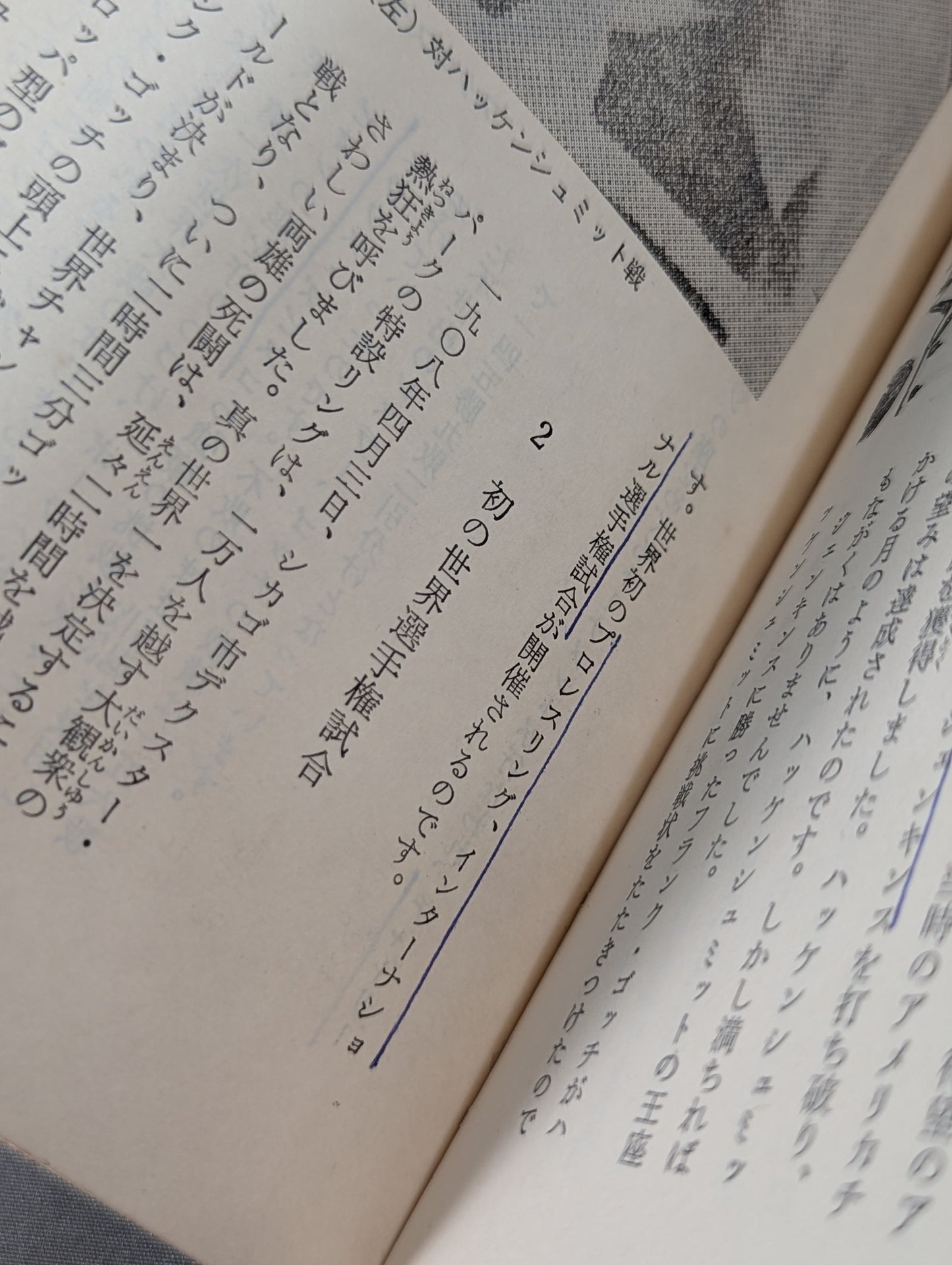 Our Pro Wrestling Fan Junior Introductory Encyclopedia (13)