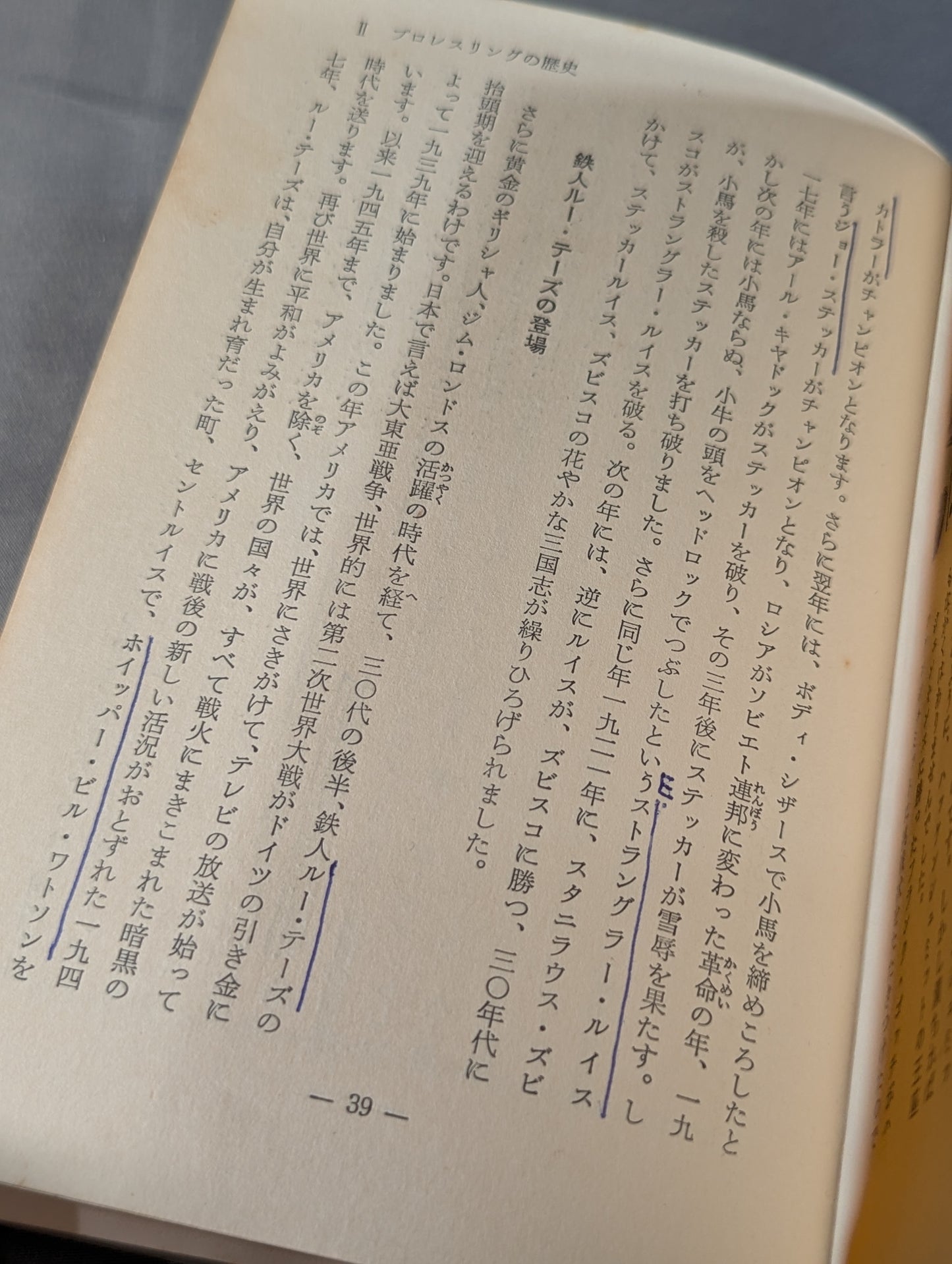 Our Pro Wrestling Fan Junior Introductory Encyclopedia (13)