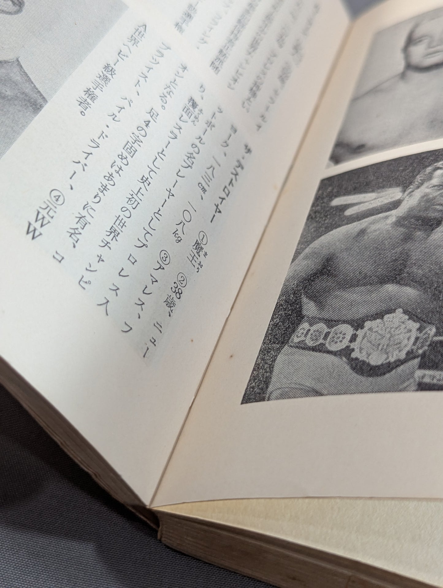 Our Pro Wrestling Fan Junior Introductory Encyclopedia (13)