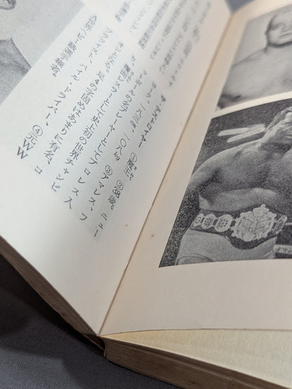 Our Pro Wrestling Fan Junior Introductory Encyclopedia (13)