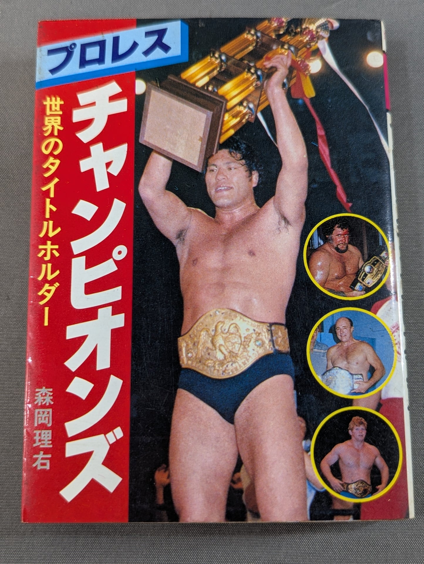 The Book of Bean Raccoons 155 Pro Wrestling Champions World Title Holder