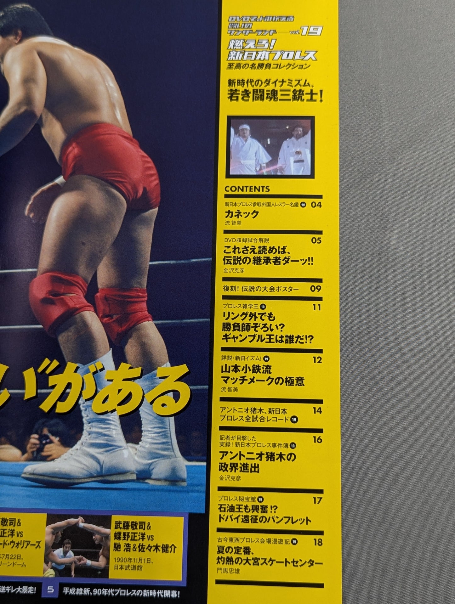 燃えろ!新日本プロレス vol.19