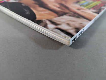 決定版! 不滅のブルース・リー 完全永久保存版