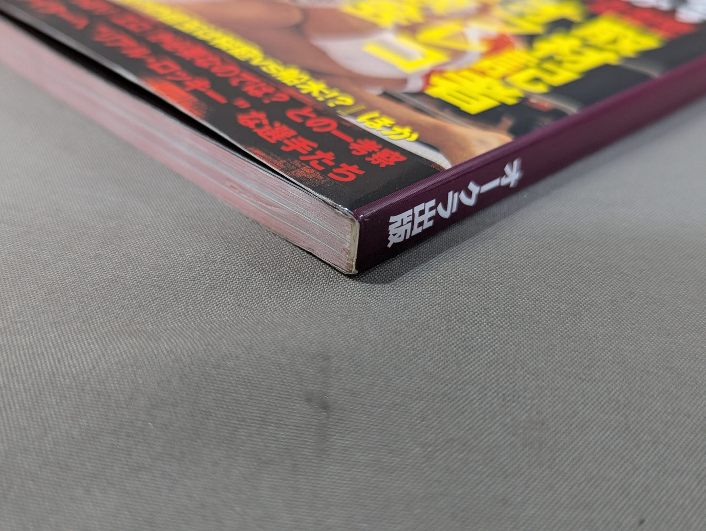 Pro Wrestling K-1 PRIDE Yami Behind the Scenes Case Files 2
