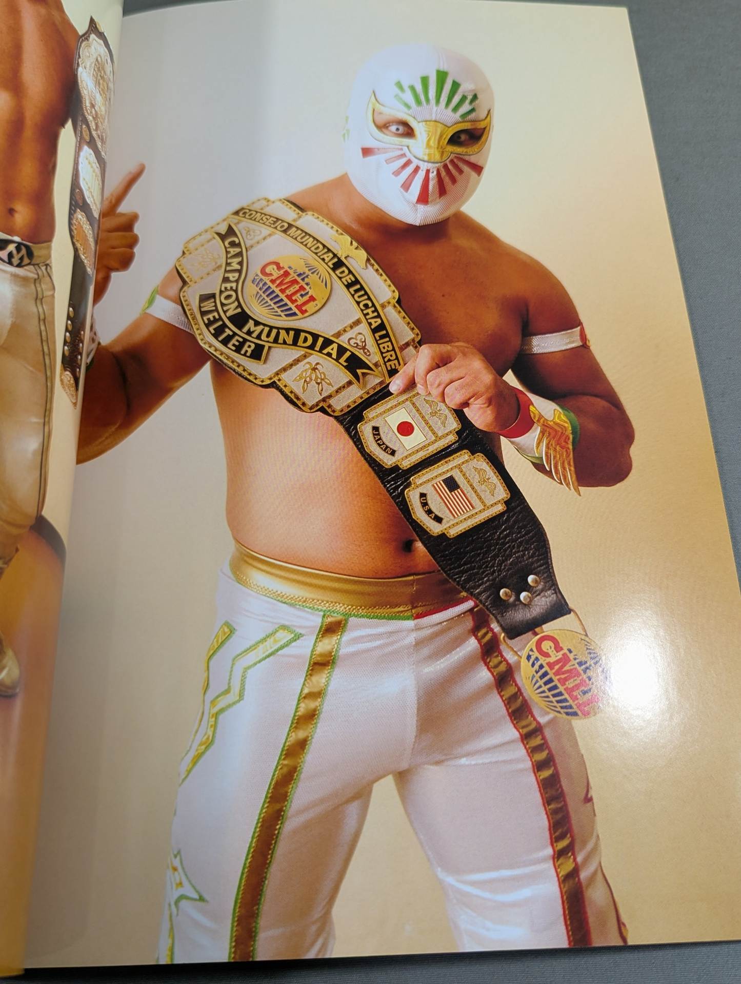 FOTOLIBRE de Mascara Numero.11