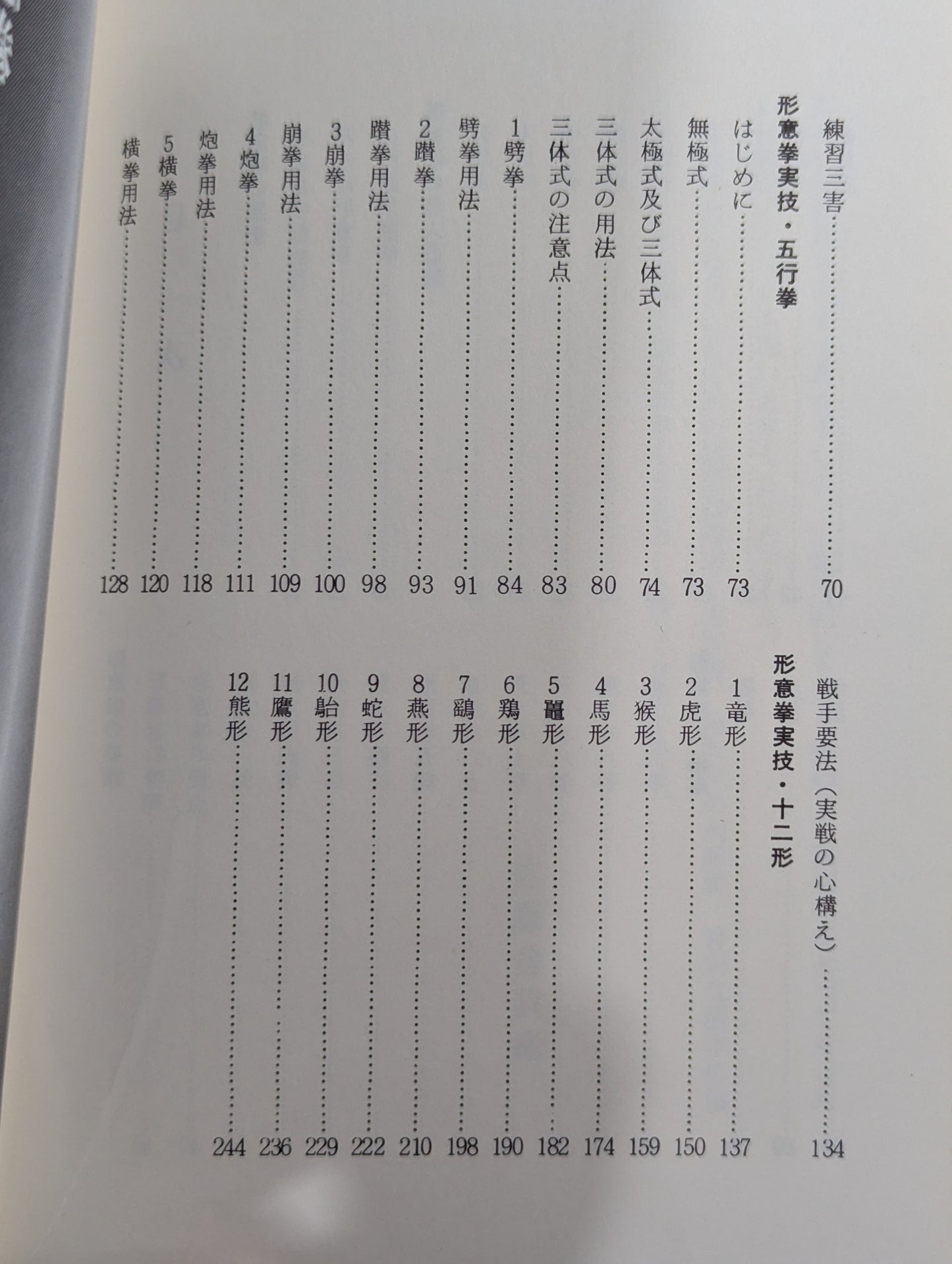 中国秘伝 形意拳
