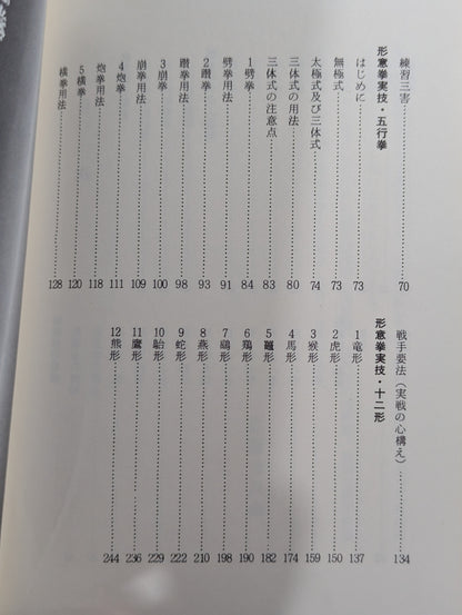 中国秘伝 形意拳