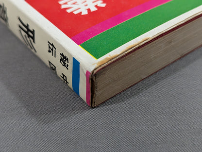 中国秘伝 形意拳