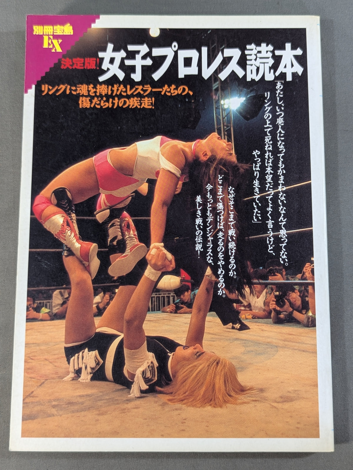 Bessatsu Treasure Island EX Definitive Edition! Women's Pro Wrestling Reader