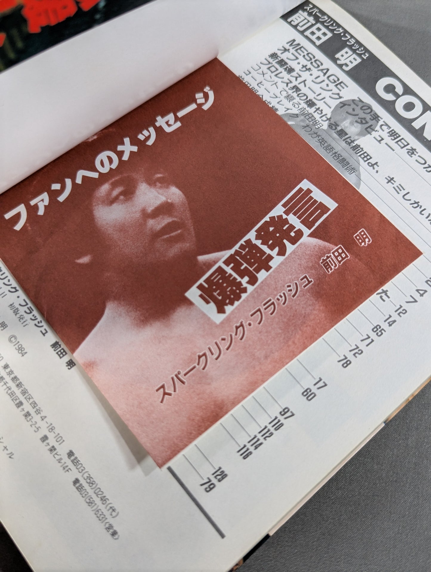 スパークリング・フラッシュ 前田明 俺はプロレス王となる!!