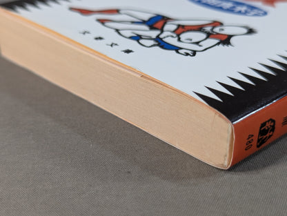 Pro Wrestling Girl Legend