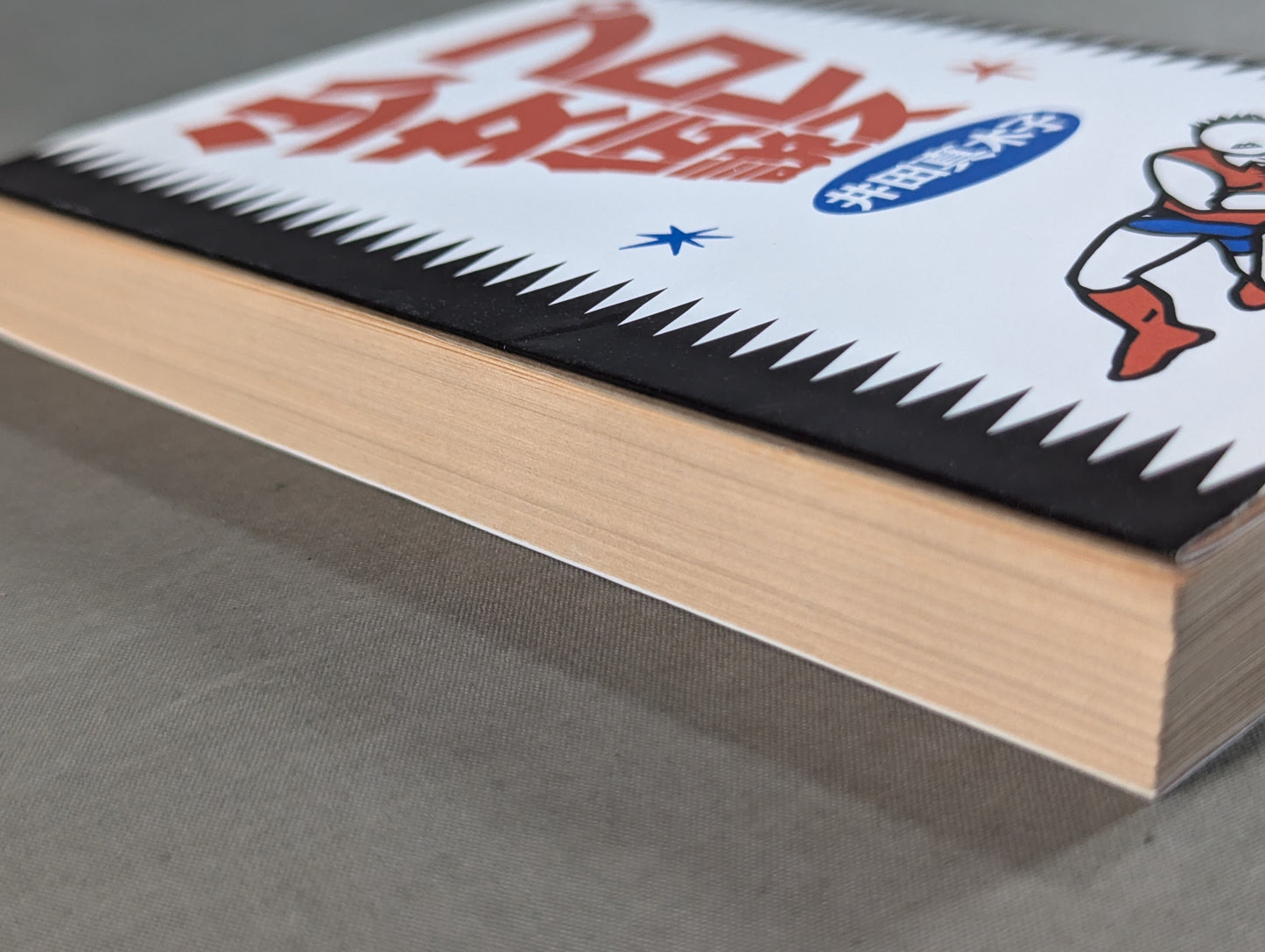 Pro Wrestling Girl Legend