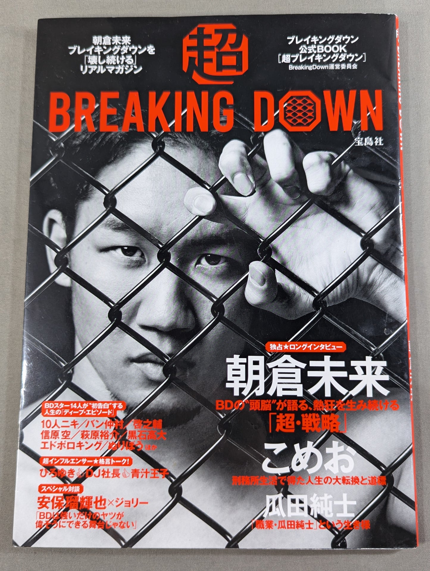 Super BREAKING DOWN Official BOOK