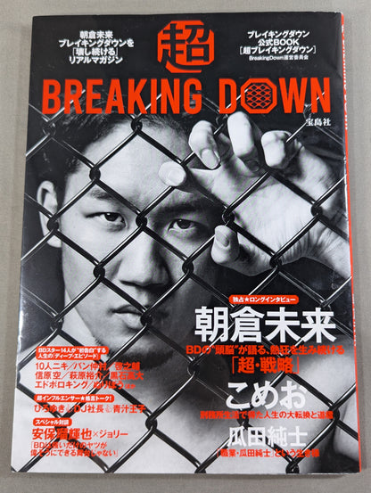 Super BREAKING DOWN Official BOOK