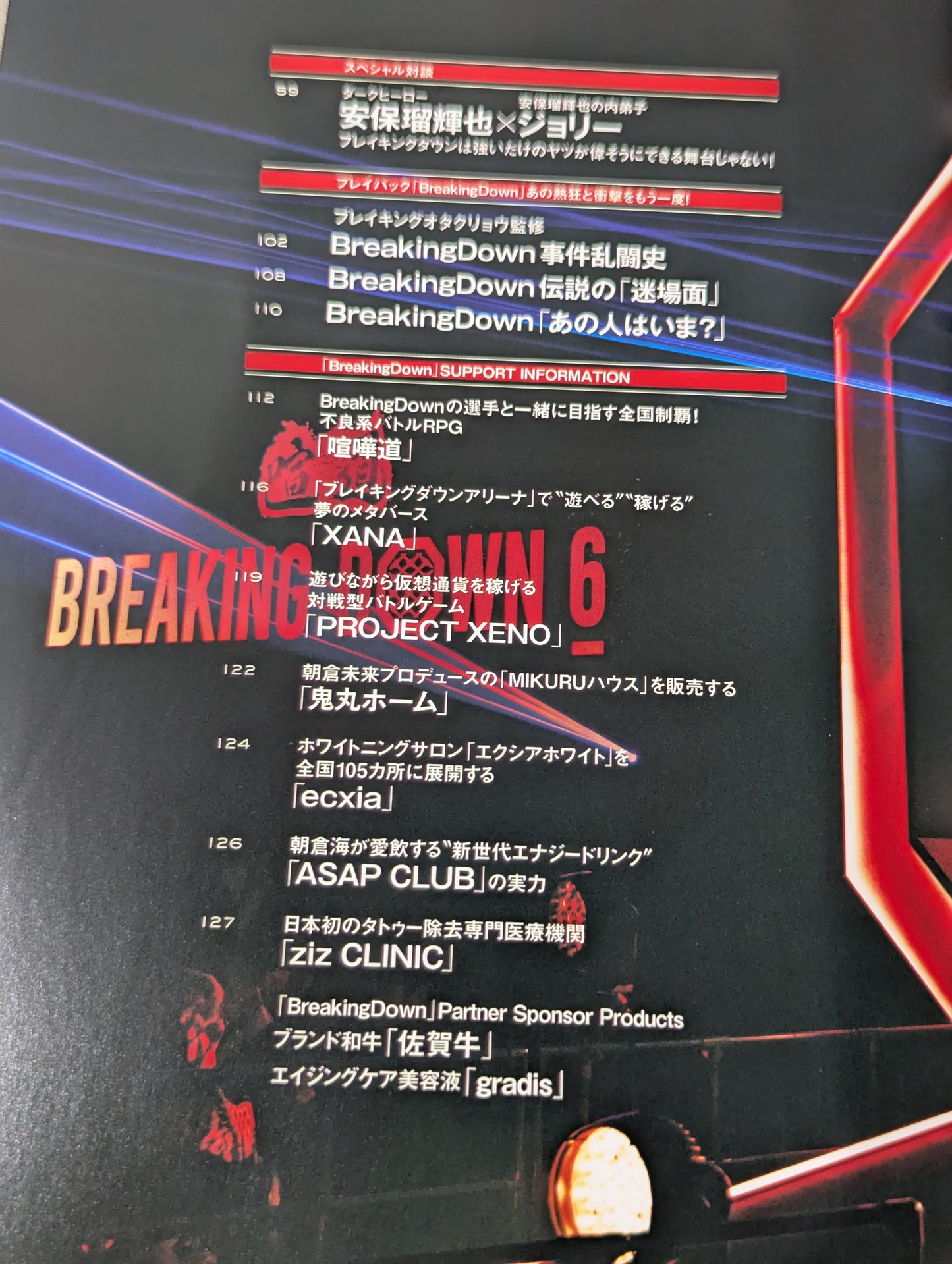 Super BREAKING DOWN Official BOOK