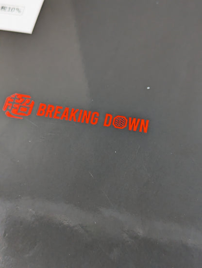 Super BREAKING DOWN Official BOOK