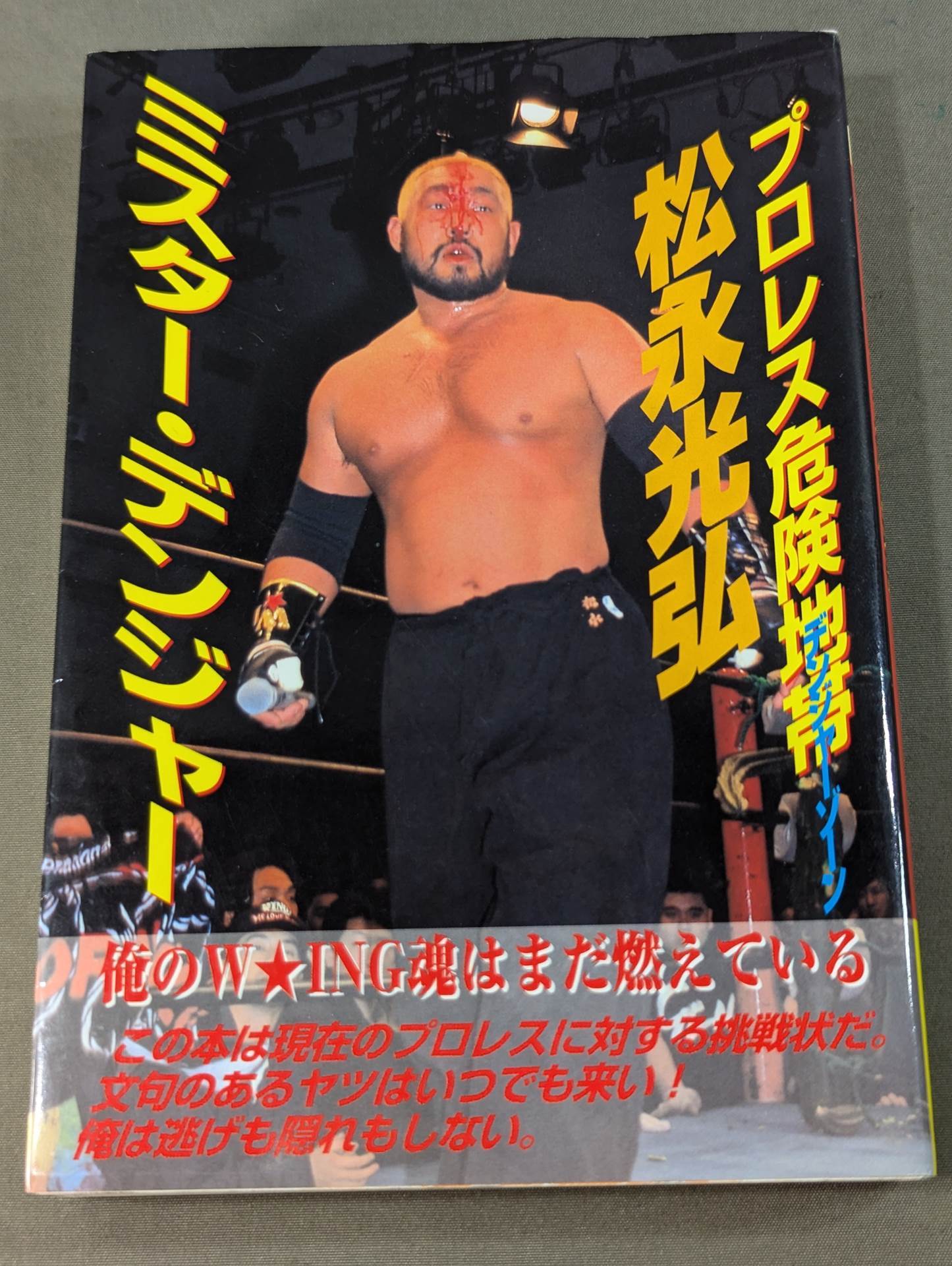 Mr. Danger Pro Wrestling Danger Zone