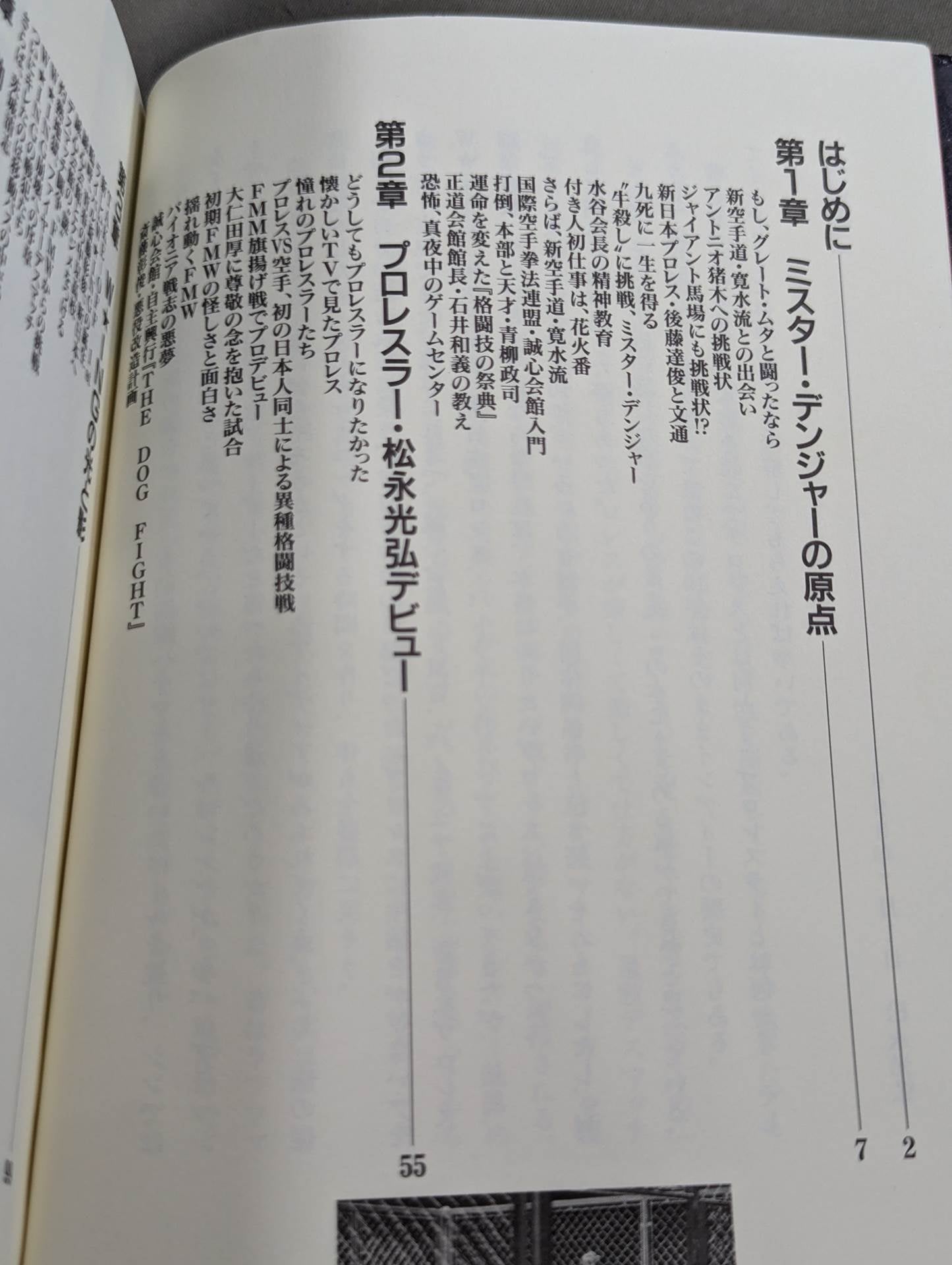 Mr. Danger Pro Wrestling Danger Zone