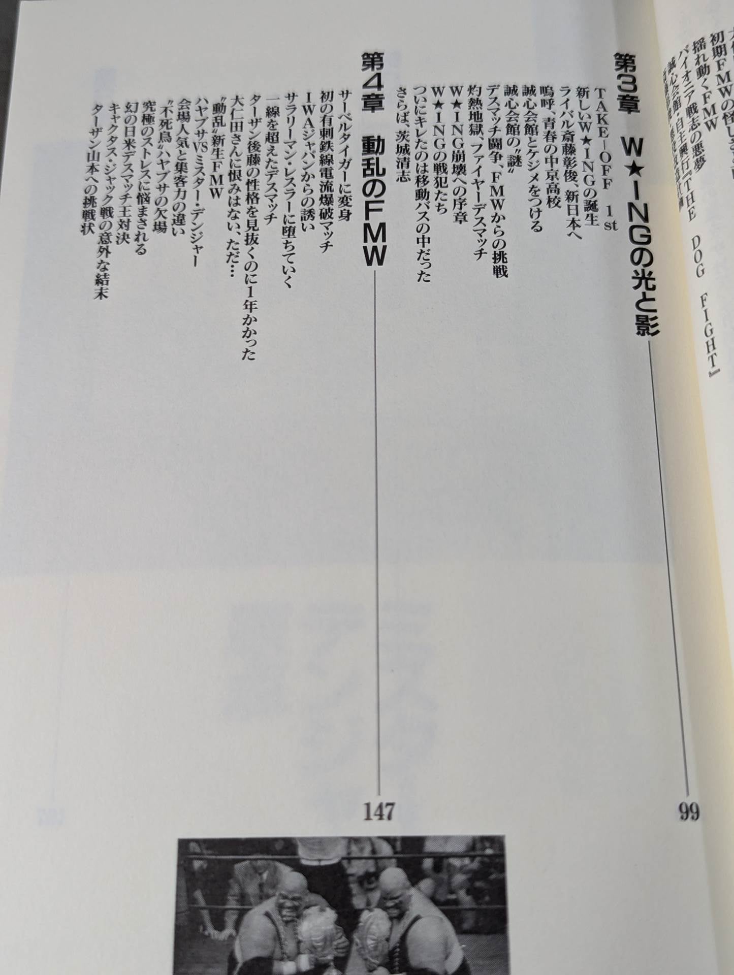 Mr. Danger Pro Wrestling Danger Zone