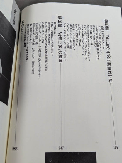 Mr. Danger Pro Wrestling Danger Zone