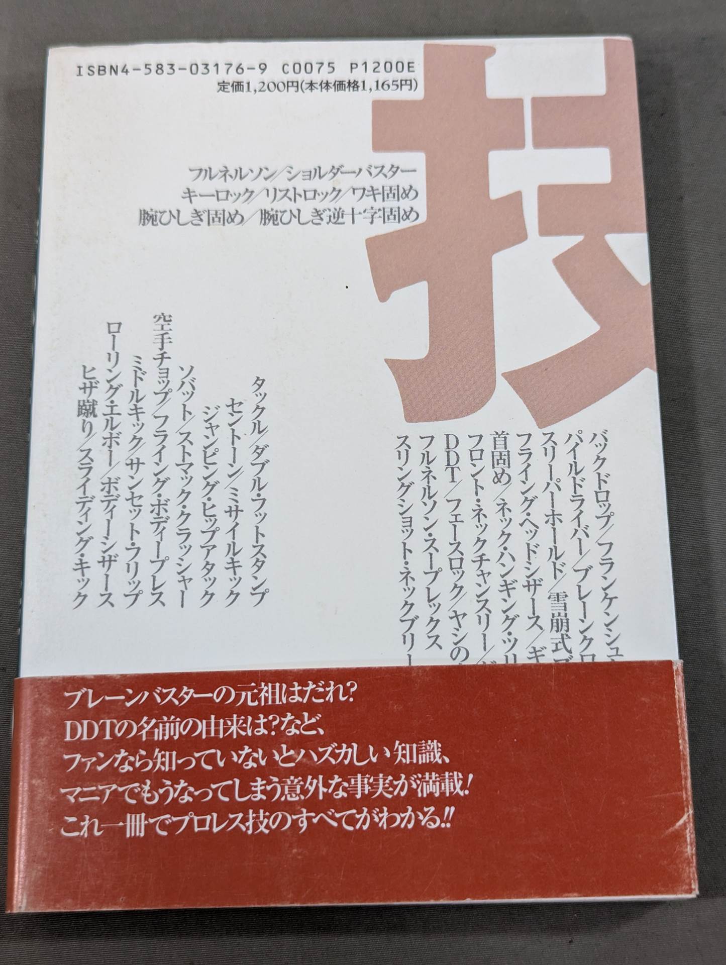 I understand this from Tomomi Ryu! Pro Wrestling Technique Upper Body Edition