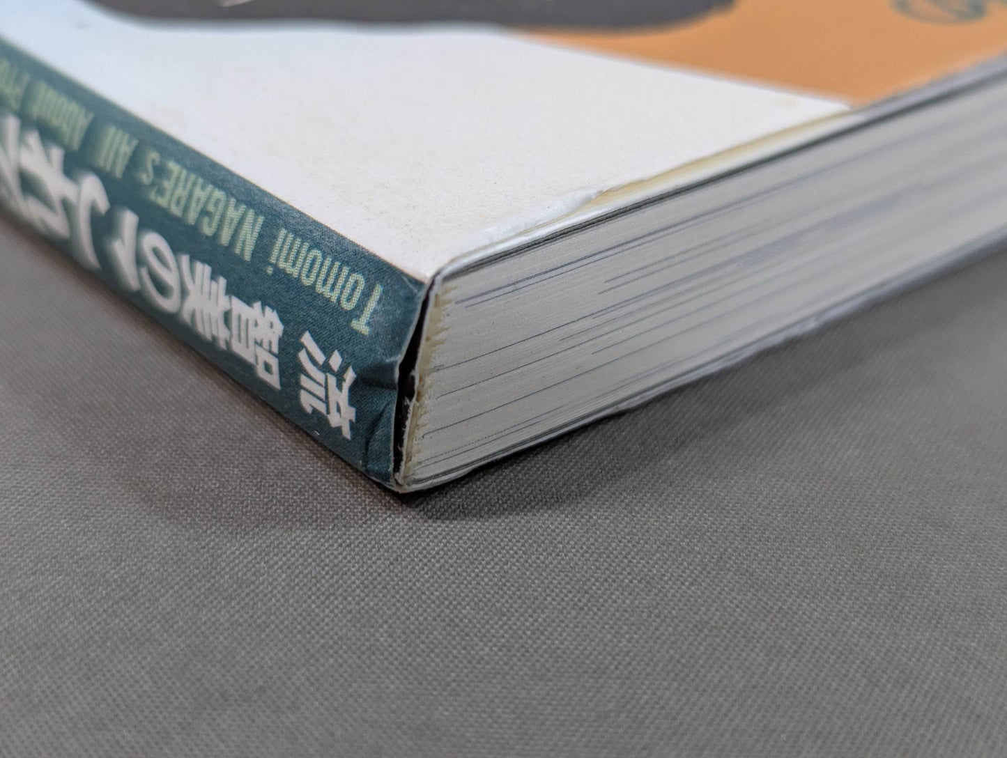 I understand this from Tomomi Ryu! Pro Wrestling Technique Upper Body Edition