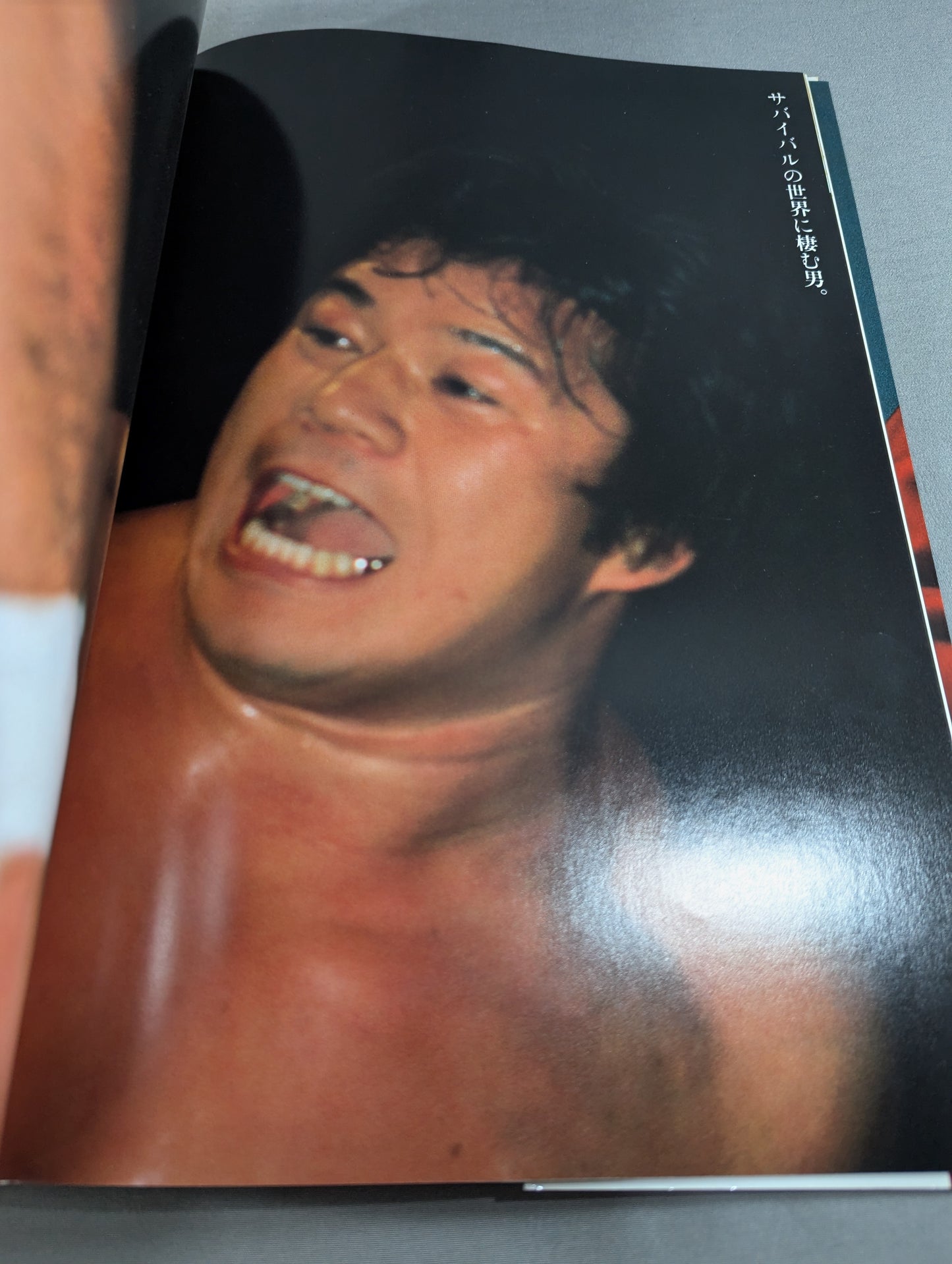 藤波辰巳 写真集