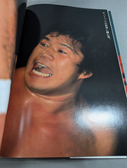藤波辰巳 写真集