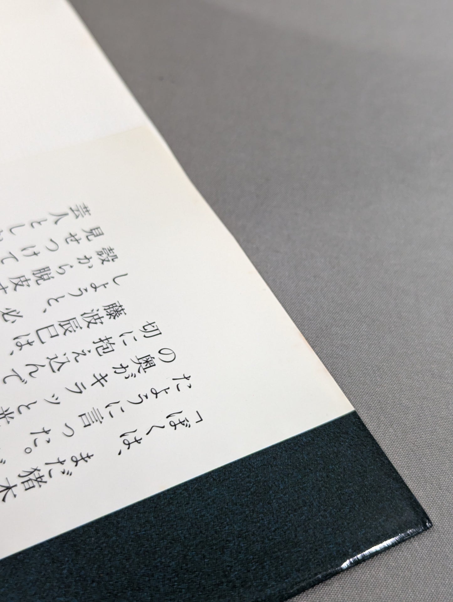 藤波辰巳 写真集