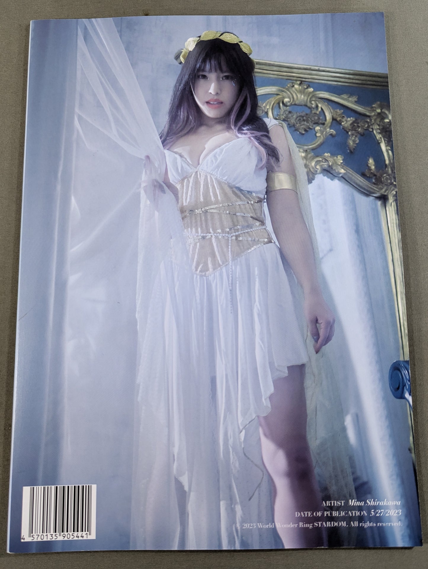白川未奈 写真集 THE VENUS