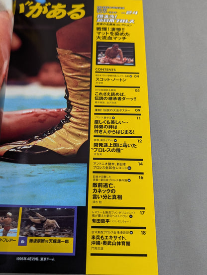 燃えろ!新日本プロレス vol.24
